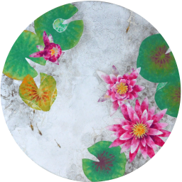 Water Lily By Tomoko Matsuda Art Scenes Find And Collect Your Favorite Art