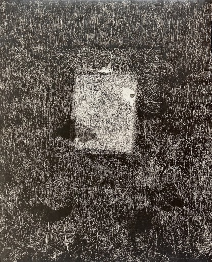 中林忠良|Tadayoshi Nakabayashi | Art Scenes アートシーンズ 中林忠良|Tadayoshi Nakabayashi | Art Scenes アートシーンズ