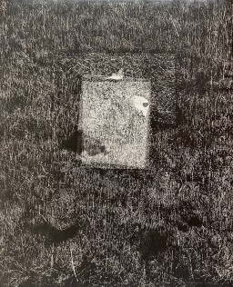 中林忠良銅版画集 転位-地-1986」– V by 中林忠良｜Tadayoshi