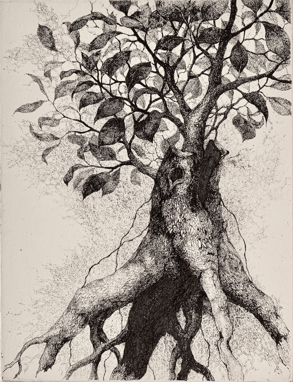 ガジュマルの樹 by 箕輪 千絵子 | Art Scenes | Find and collect your