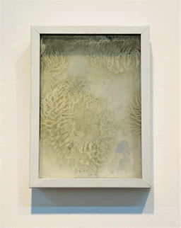 藤浪 理恵子｜Fujinami Riekoの作品一覧 | Art Scenes アートシーンズ