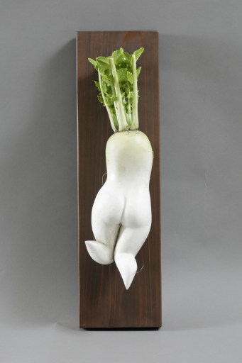 セクシー大根 のりこ by ニワタカユキ | Art Scenes | Find and