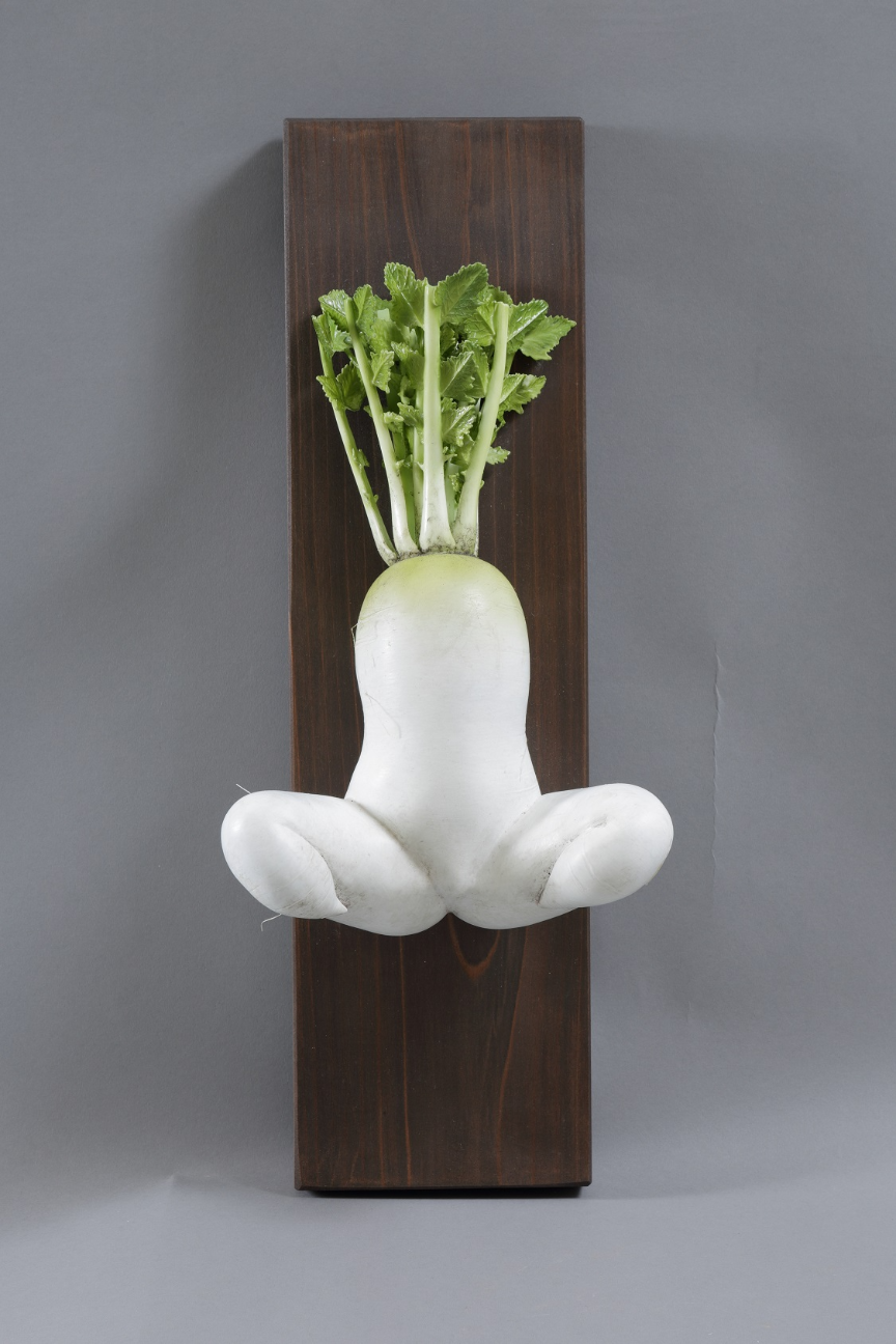 セクシー大根 えりこ by ニワタカユキ | Art Scenes | Find and