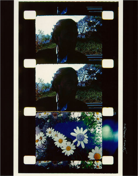 即納最新作Jonas Mekas （ジョナス メカス) ”Self-Portrait in the shadow at Lacoste” オリジナル シルクスクリーン シルクスクリーン