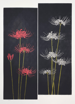 浜西勝則 版画家図鑑:浜西勝則（はまにしかつのり）HAMANISHI Katsunori