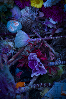 【値下げ】建築紅花青鳥(ロマネスク)圖 建築紅花青鳥図 | 増田彰久、塚本邦雄、藤森照信 | nostos books