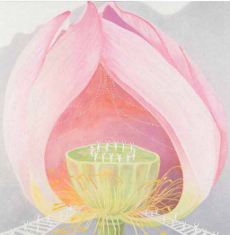 呉 亜沙 『the other』 呉 亜沙 『the other』 絵画