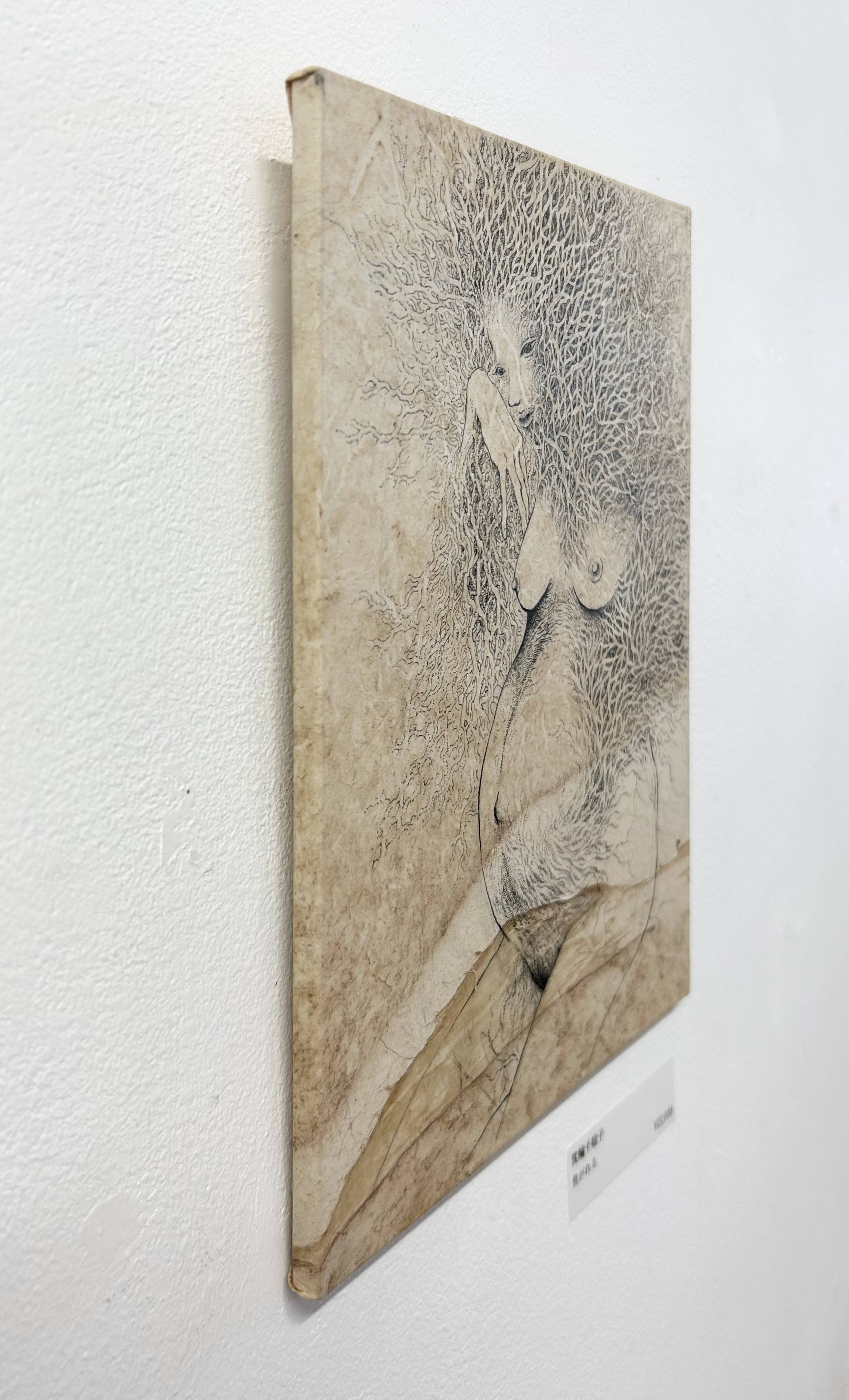 ★A1★箕輪 千絵子 Chieko Minowa 銅版画「トイレ」限定25部 箕輪千絵子 Chieko Minowa (@CHIEKO39) / X