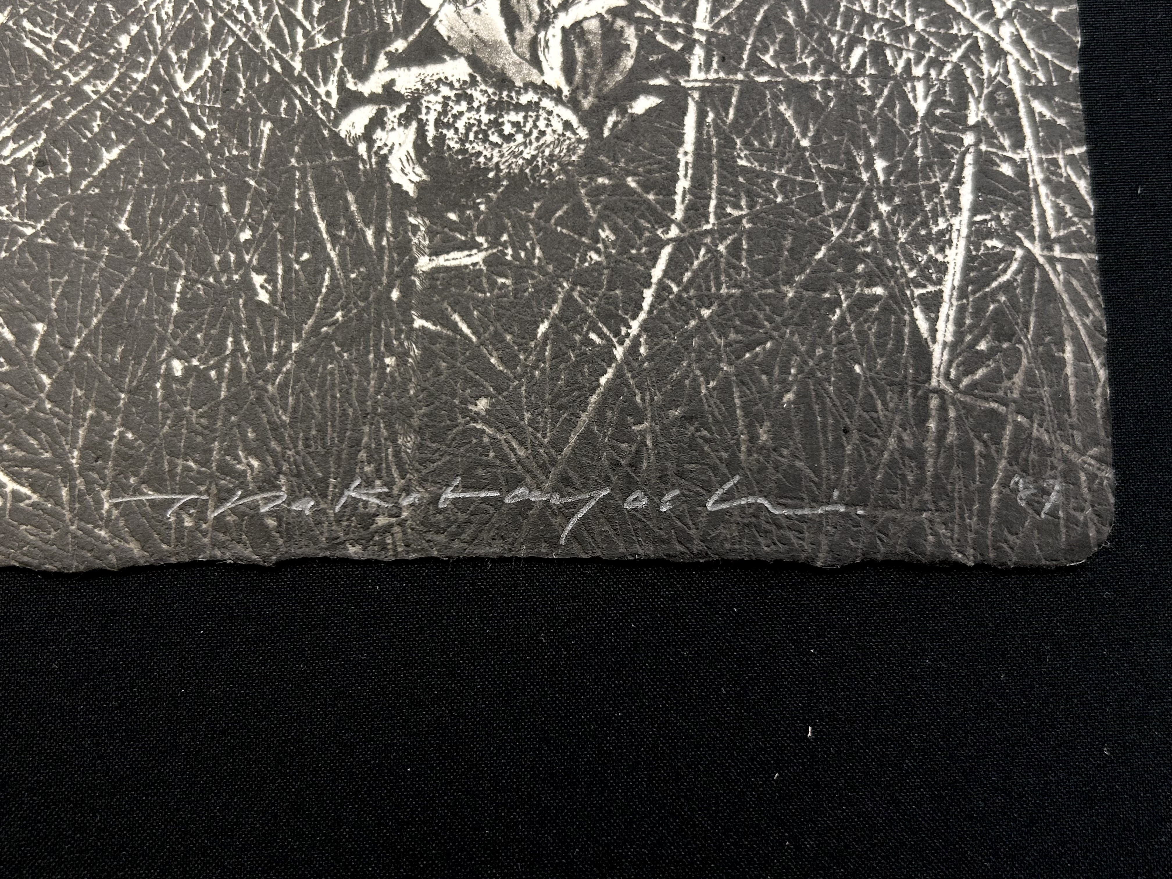 中林忠良 版画 転位'88地 中林忠良 版画 転位'88地