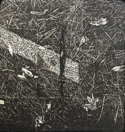 中林忠良 版画 転位'88地 中林忠良展 銅版画―腐蝕と光（茅野市美術館）｜美術手帖