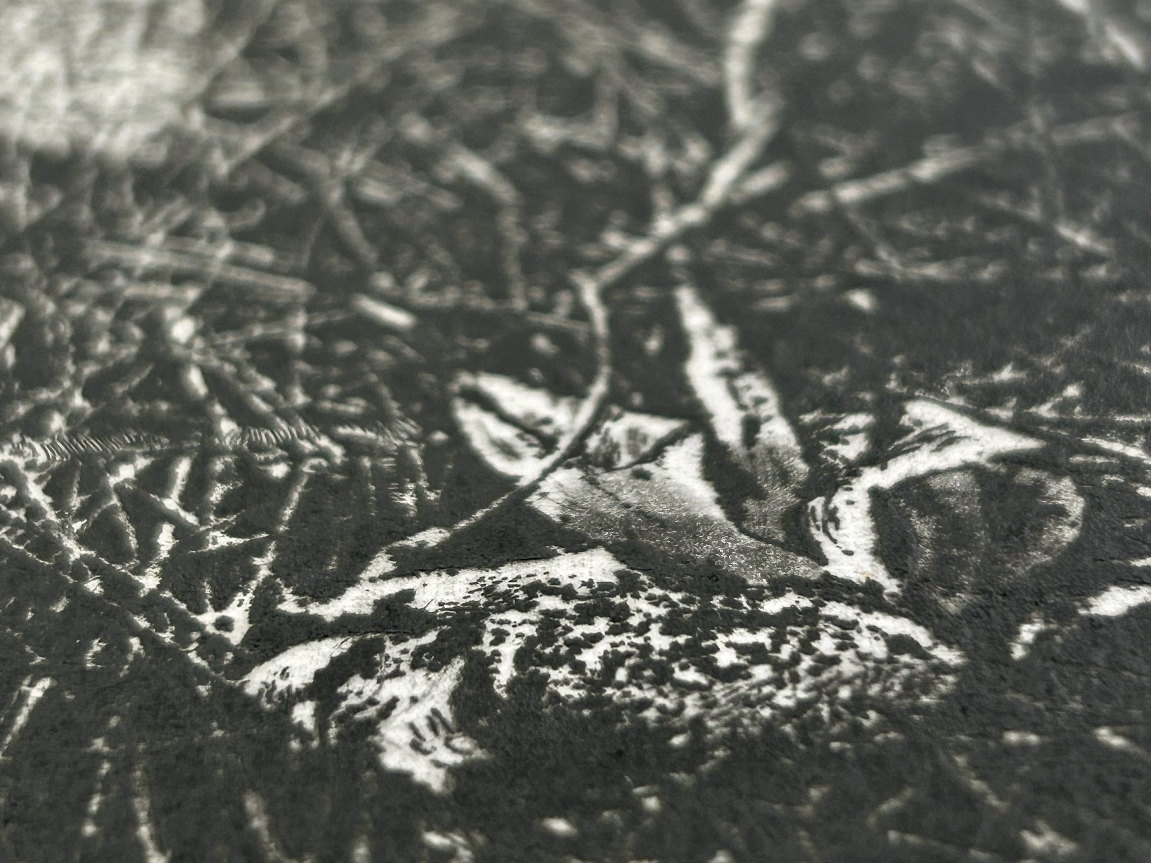 中林忠良 版画 転位'88地 Tadayoshi Nakabayashi / 中林忠良版画額「Transposition 転位Ⅰ