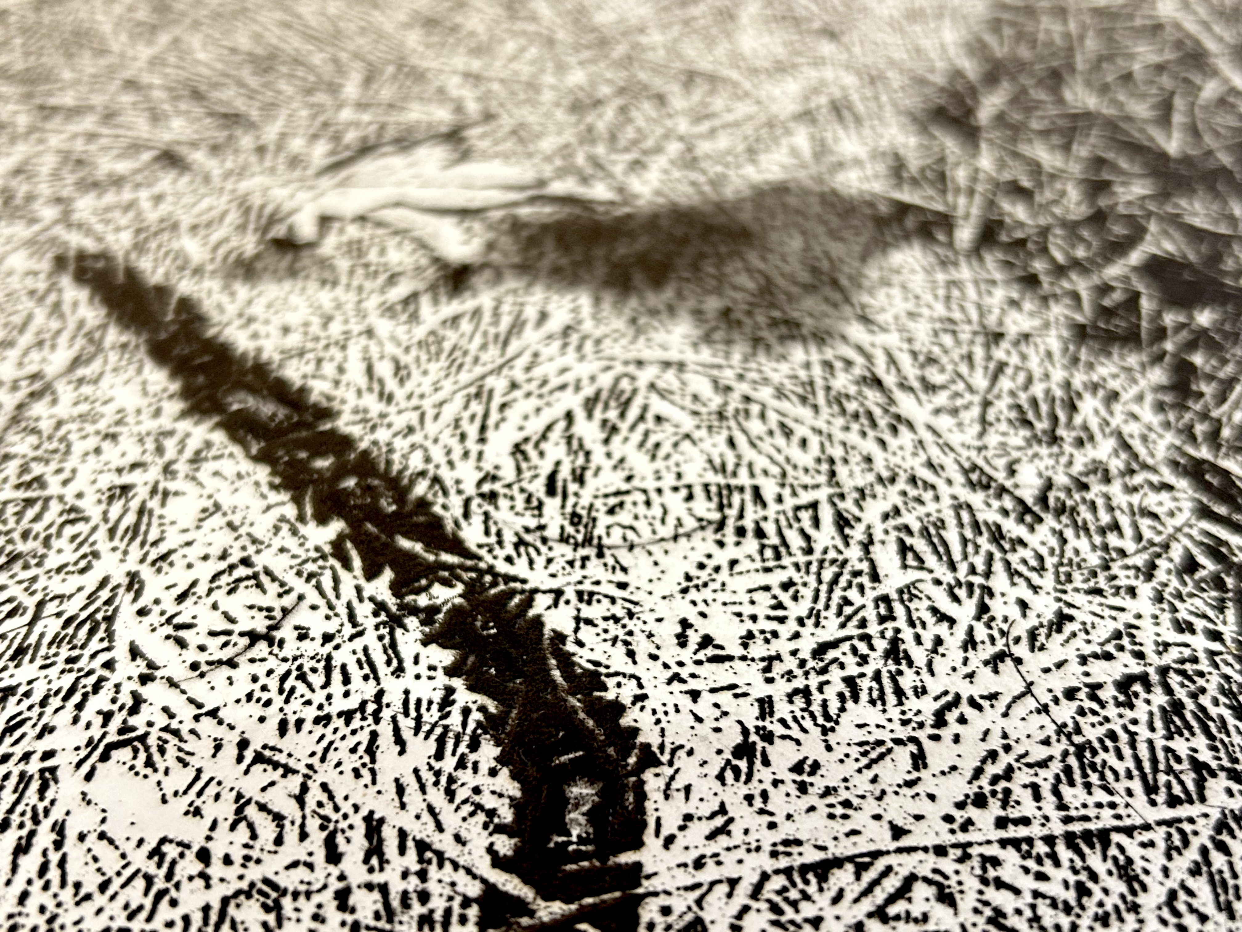 転位'89-地-II by 中林忠良｜Tadayoshi Nakabayashi | Art