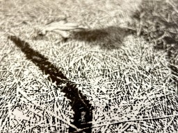転位'89-地-II by 中林忠良｜Tadayoshi Nakabayashi | Art Scenes