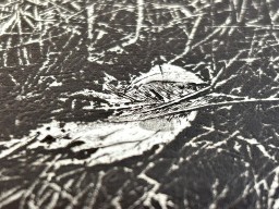 転位'89-地-II by 中林忠良｜Tadayoshi Nakabayashi | Art Scenes