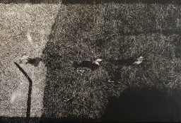 中林忠良｜Tadayoshi Nakabayashi | Art Scenes アートシーンズ