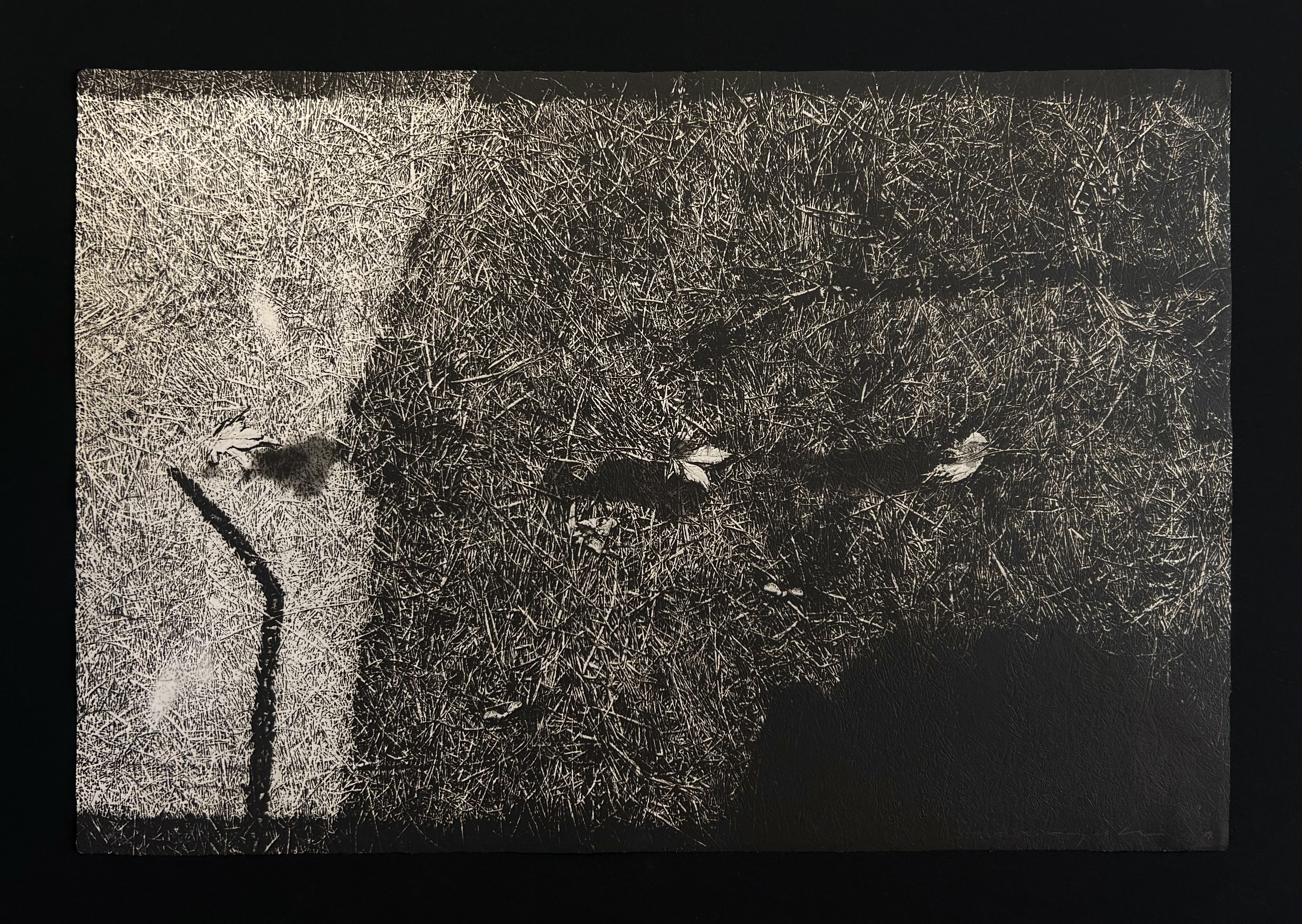 中林忠良 版画 転位'88地 中林忠良 版画 転位'88地 中林忠良展 銅版画―腐蝕と光（茅野市