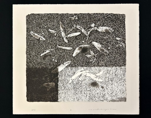 中林忠良銅版画集 転位-地-1986」– II by 中林忠良|Tadayoshi 中林忠良銅版画集 転位-地-1986」– II by 中林忠良|Tadayoshi