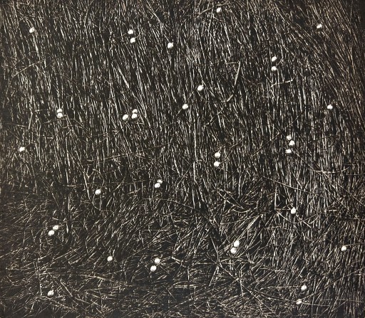 中林忠良銅版画集 転位-地-1986」– V by 中林忠良｜Tadayoshi