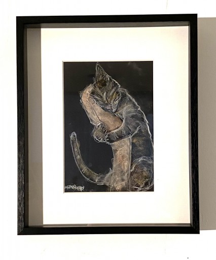猫 