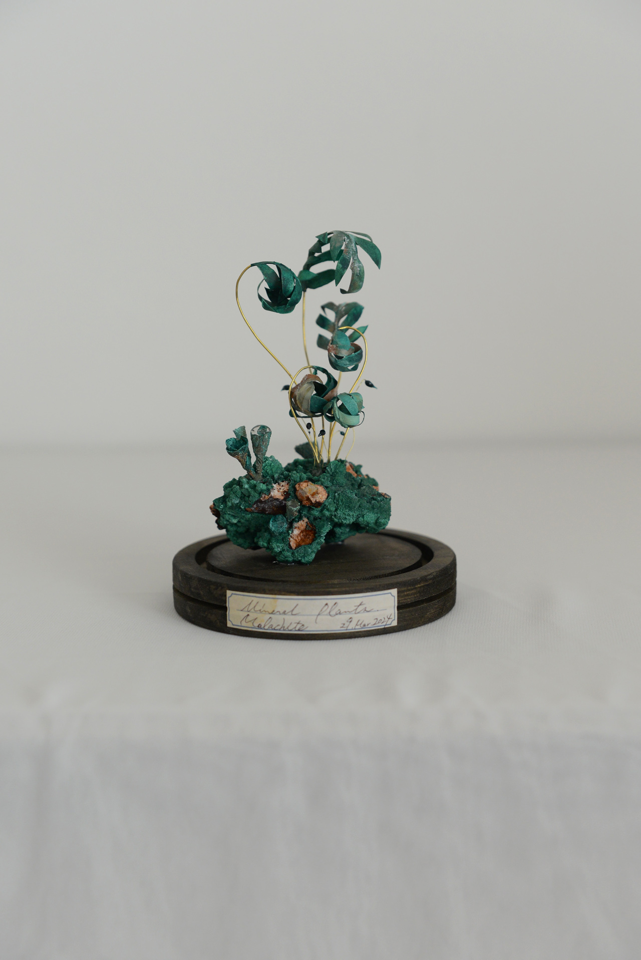 鉱石植物 孔雀石（マラカイト） by kopfkino 五十嵐彩乃 | Art Scenes