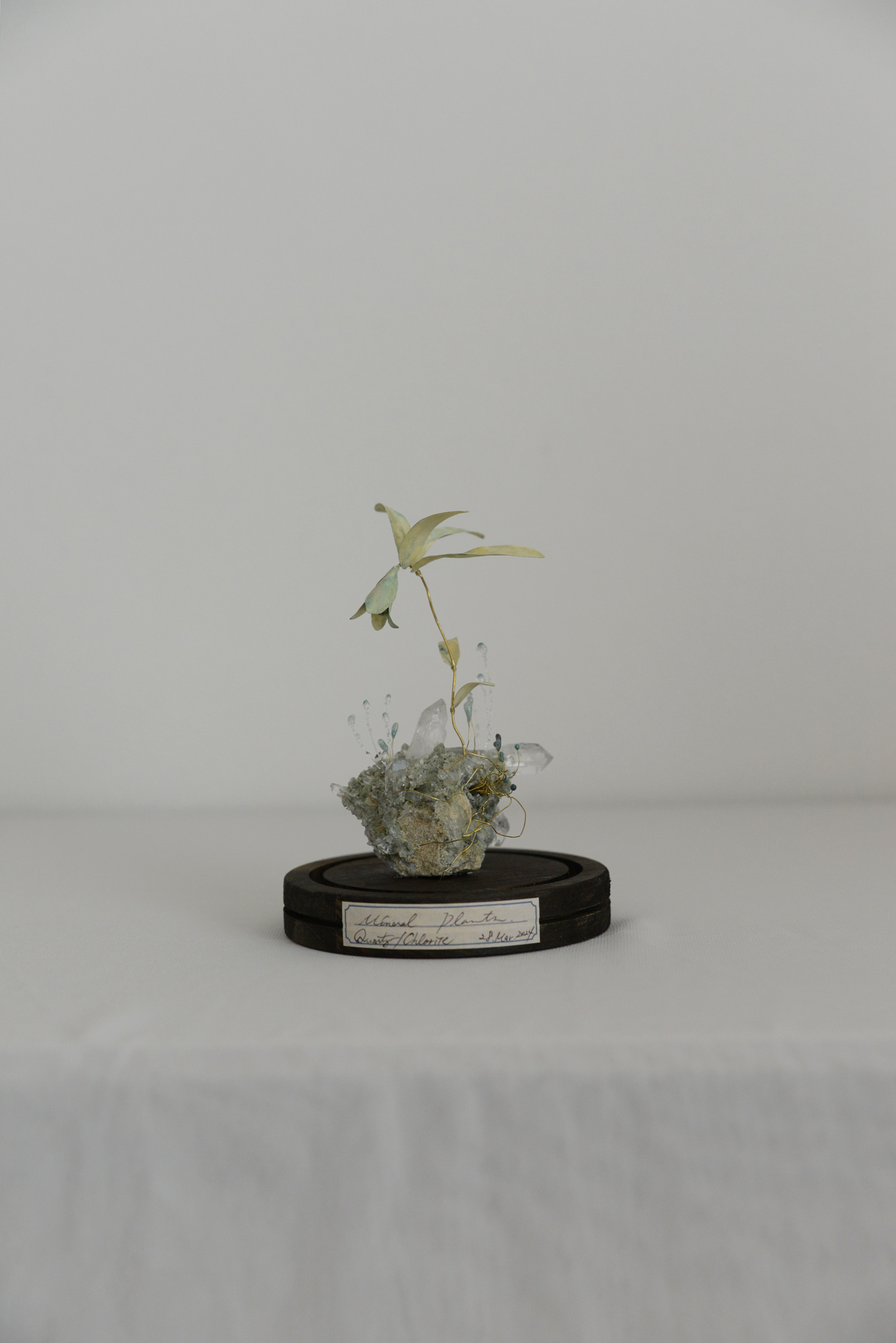 クレー「植物ー分析的なもの」、希少画集より、状態良好、新品高級額装