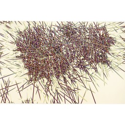 All Artwroks by Gallery ISHIKAWA | Art Scenes | Find and