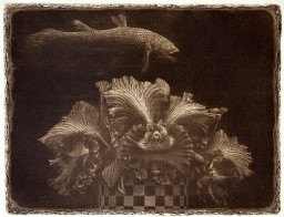 渡辺千尋｜Chihiro Watanabe | Art Scenes アートシーンズ