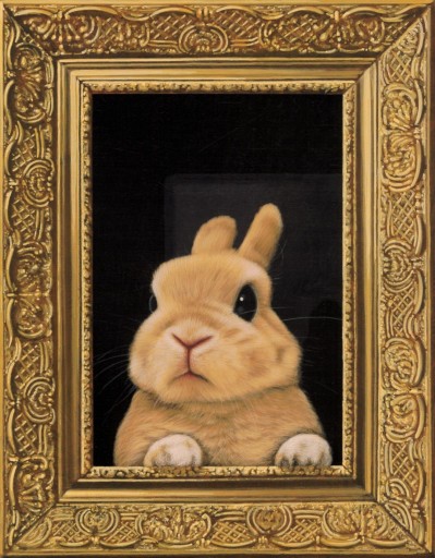 Qh2B8gvTW6Yx9MZD5NtDDdMrFzFjNx