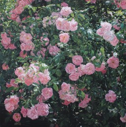 【KAHM】生川 和美　「Anemone」　油彩画　2017年作　現代アート 海でつながるアートウォーク2025 詳細ページ