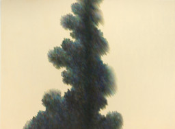 僕が描いた作品 Akira Toriyama Hand-Drawn Color Illustration