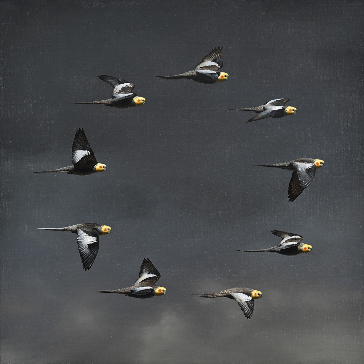 騎行 by 向山裕 | Art Scenes | Find and collect your favorite art