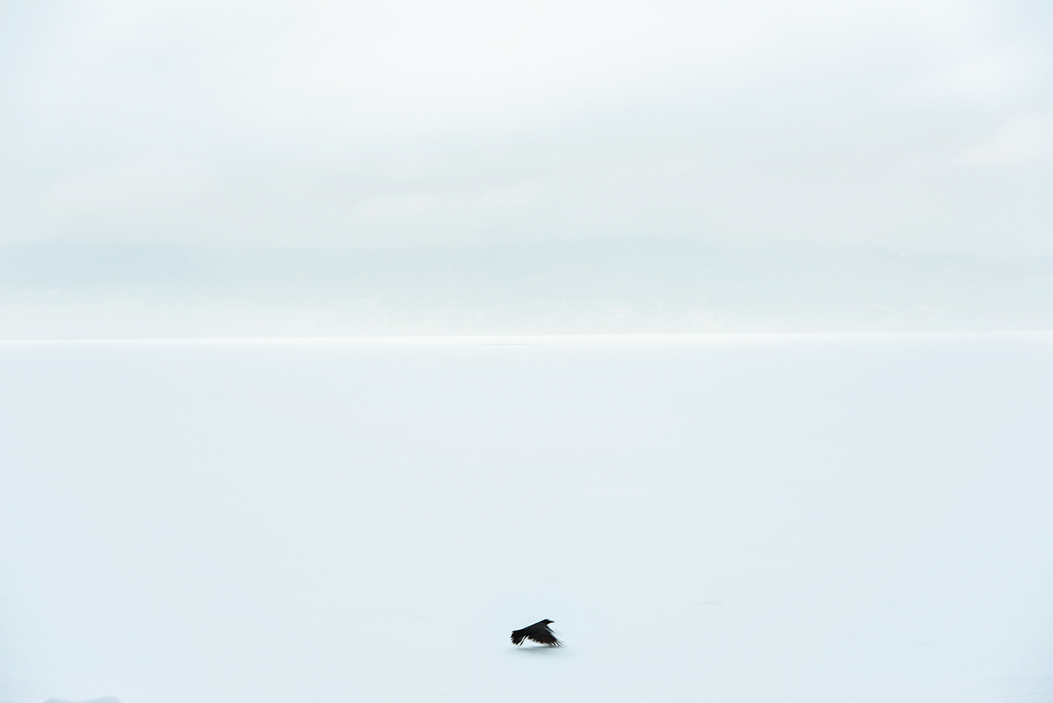 絵画No.1 「無題」　作　いのこはるき 無題” by Yuki Abe | Art Scenes | Find and collect your