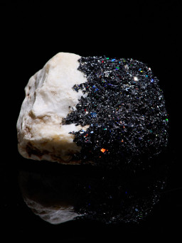 淵上直斗の作品一覧 | Art Scenes アートシーンズ | お気に入りの