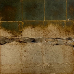 河内成幸 F-1 河内成幸 F-1