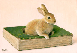 Rabbit Book by 奥村晃史 | Art Scenes | Find and collect your