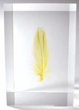 倉俣史朗 ShiroKURAMATA Floating Feather羽根の封印 倉俣史朗 ShiroKURAMATA Floating Feather羽根の封印 倉俣史朗