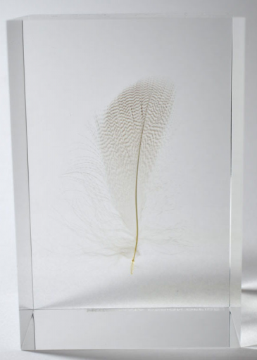 b3duruxlES3s6lN9SsHAjyk1XWlowt