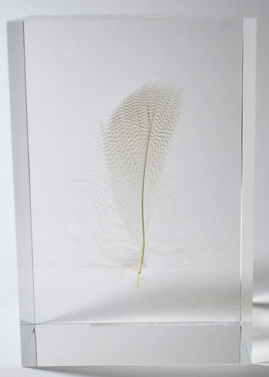 Floating Feather（白） by 倉俣 史朗 | Art Scenes アートシーンズ