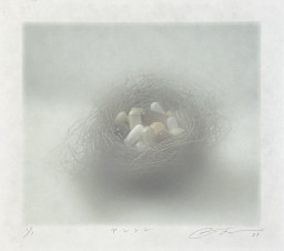 藤浪理恵子 作品 藤浪理恵子 作品 藤浪 理恵子の作品一覧 | Art Scenes アートシーンズ