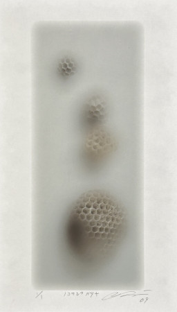 藤浪 理恵子｜Fujinami Rieko | Art Scenes アートシーンズ