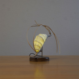 佐藤祥太 | Art Scenes アートシーンズ | お気に入りのアートが探せる