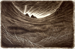 Watanabe Chihiro｜渡辺千尋 | Art Scenes | Find and collect your
