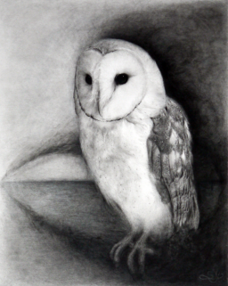 山田 さやかの作品一覧 Art Scenes アートシーンズ お気に入りのアートが探せる 見つかる